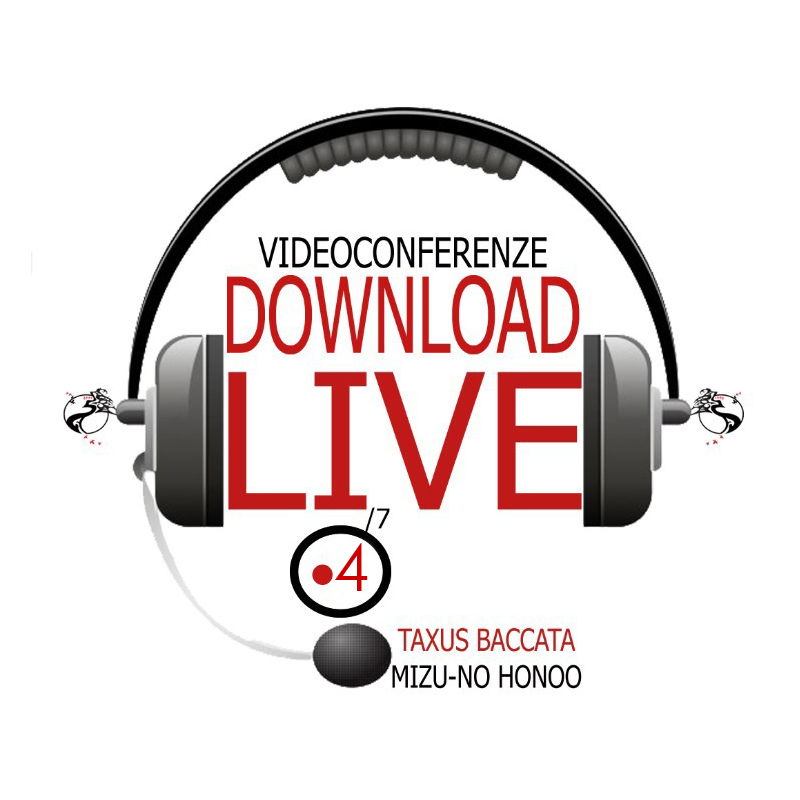 Webinar 4 corso download live taxus baccata bonsai creativo sandro segneri