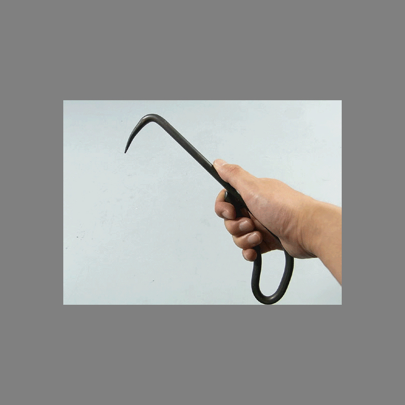 Gancio – Kaneshin a punta singola in acciaio per radici" 250mm / 270g" No.553
